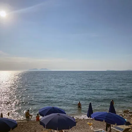Modern Oasis Vlorë